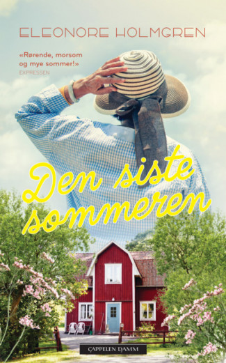 Den siste sommeren av Eleonore Holmgren (Heftet)