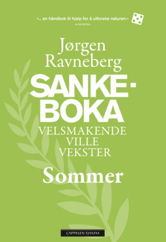 Sankeboka sommer av Jørgen Ravneberg (Innbundet)