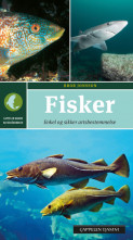 Fisker av Bror Jonsson (Heftet)