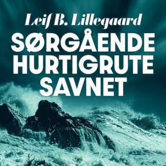 Sørgående hurtigrute savnet av Leif B. Lillegaard (Nedlastbar lydbok)