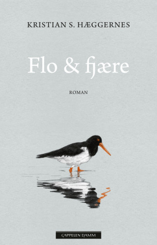 Flo & fjære av Kristian S. Hæggernes (Innbundet)