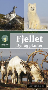 Fjellet. Dyr og planter