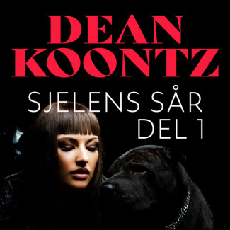 Sjelens sår - del 1 av Dean Koontz (Nedlastbar lydbok)