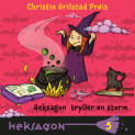 Heksagon tryller en storm av Christin Grilstad Prøis (Nedlastbar lydbok)