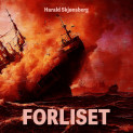 Forliset av Harald Skjønsberg (Nedlastbar lydbok)