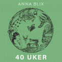 40 uker, en menneskegraviditet og 81 andre måter å få barn på av Anna Blix (Nedlastbar lydbok)