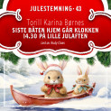 Siste båten hjem går klokken 14.30 på lille julaften – en nedtelling av Torill Karina Børnes (Nedlastbar lydbok)