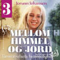 Tårnværelsets hemmelighet av Jorunn Johansen (Nedlastbar lydbok)