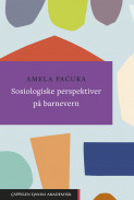 Sosiologiske perspektiver på barnevern av Amela Pacuka (Ebok)