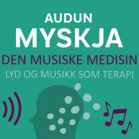 Den musiske medisin - Lyd og musikk som terapi