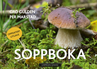 Soppboka av Gro Gulden (Fleksibind)