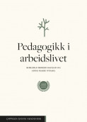 Pedagogikk i arbeidslivet av Borghild Brekke Hauglid og Adina Marie Nydahl (Ebok)