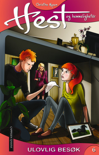 Hest og hemmeligheter 6: Ulovlig besøk av Christine Mysen (Ebok)