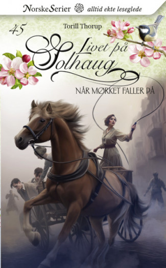 Når mørket faller på av Torill Thorup (Heftet)