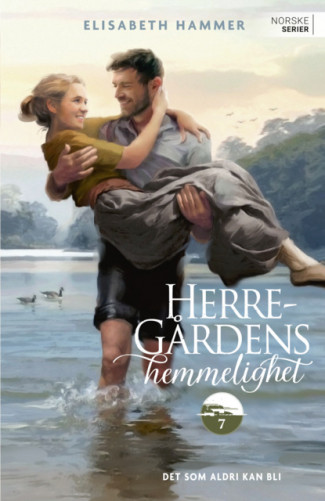 Det som aldri kan bli av Elisabeth Hammer (Heftet)