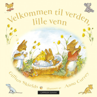 Velkommen til verden, lille venn av Gillian Shields (Kartonert)