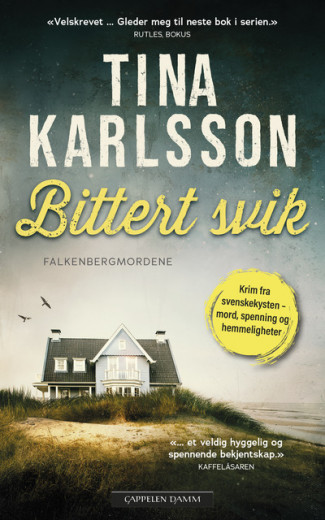 Bittert svik av Tina Karlsson (Ebok)