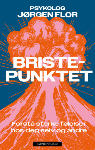 Bristepunktet av Jørgen Flor (Ebok)