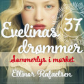 Sommerlys i mørke av Ellinor Rafaelsen (Nedlastbar lydbok)