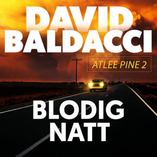 Blodig natt av David Baldacci (Nedlastbar lydbok)