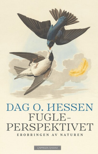 Fugleperspektivet av Dag O. Hessen (Innbundet)