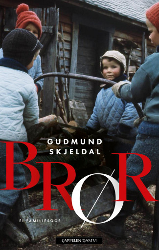 Brør av Gudmund Skjeldal (Innbundet)