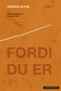 Fordi du er