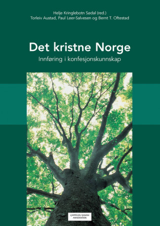 Det kristne Norge av Helje Kringlebotn Sødal (Heftet)