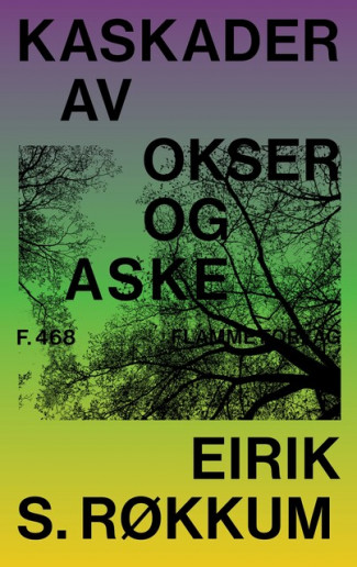 Kaskader av okser og aske av Eirik S. Røkkum (Innbundet)